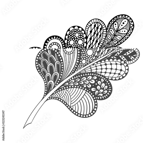 Zen tangle feather, doodle sketch vector black and white illustration.