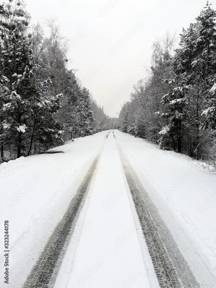 Fototapeta premium road in winter forest