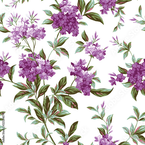 Beautiful interlacing blooming phlox pattern