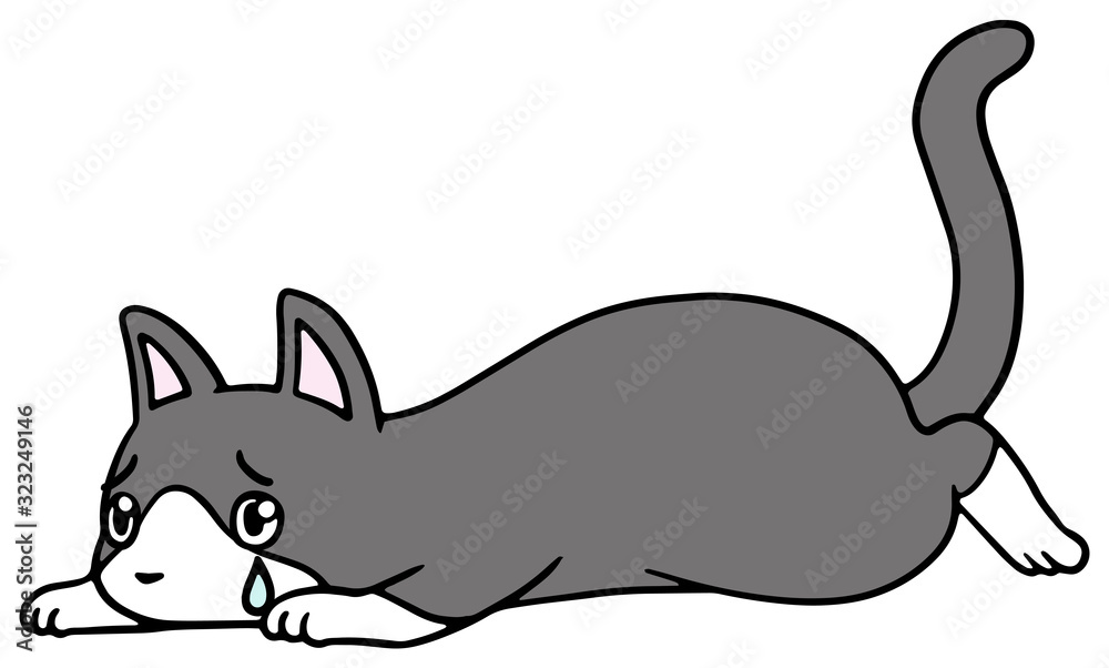 倒れた猫のイラスト_ハチワレ_泣き顔 倒れた猫のイラスト_ハチワレ_泣き顔