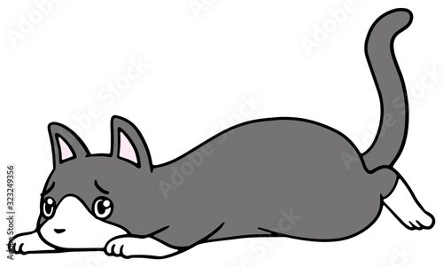 倒れた猫のイラスト ハチワレ 困り顔 Stock ベクター Adobe Stock 倒れた猫のイラスト ハチワレ 困り顔 Stock ベクター Adobe Stock