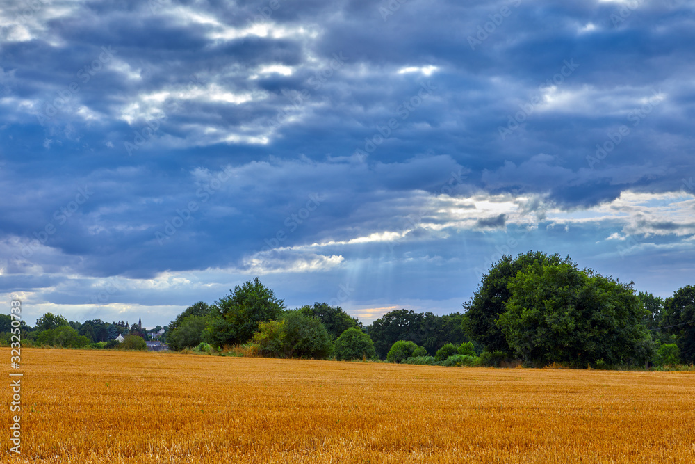 Image of an agricultural field of cut wheat with trees and cloud Image of an agricultural field of cut wheat with trees and cloud