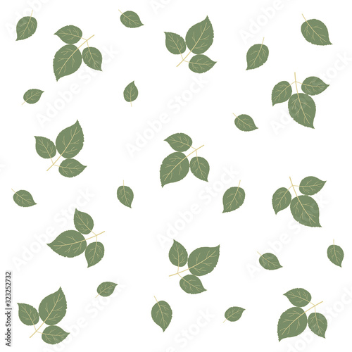 Isolated green leaves pattern on white background, seamless, vector illustration