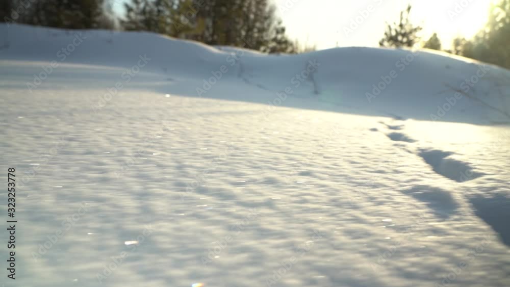 Movement in a snowy meadow. Fluffy loose pure snow sparkles in the sun. Movement in a snowy meadow. Fluffy loose pure snow sparkles in the sun.