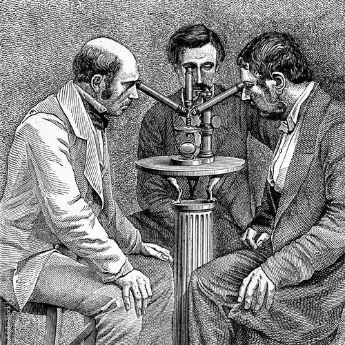 Three-body microscope for simultaneous observations. Antique illustration. 1883.