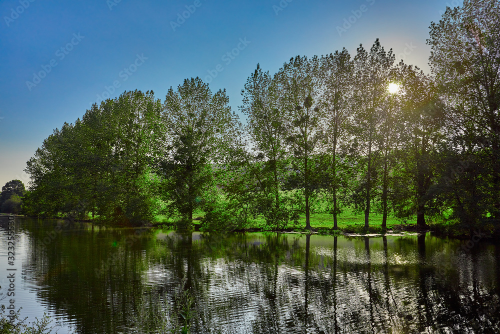 Obraz premium Image of La Villaine River with trees and green grass