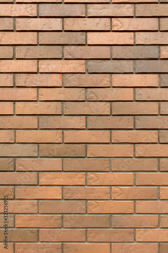 Bricks in the wall of the house.