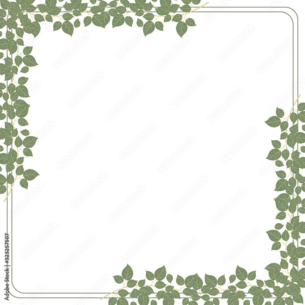 Pattern of green leaves collected in the frame on the white background, vector illustration Pattern of green leaves collected in the frame on the white background, vector illustration