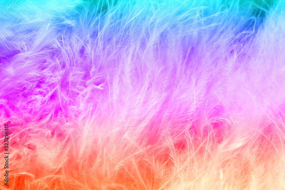 Macro of pastel bird fluffy feathers in soft color and blur style for background Macro of pastel bird fluffy feathers in soft color and blur style for background
