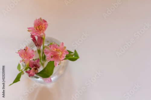 small bouquet of 3 pink astromeria flowers in a glass vase photo