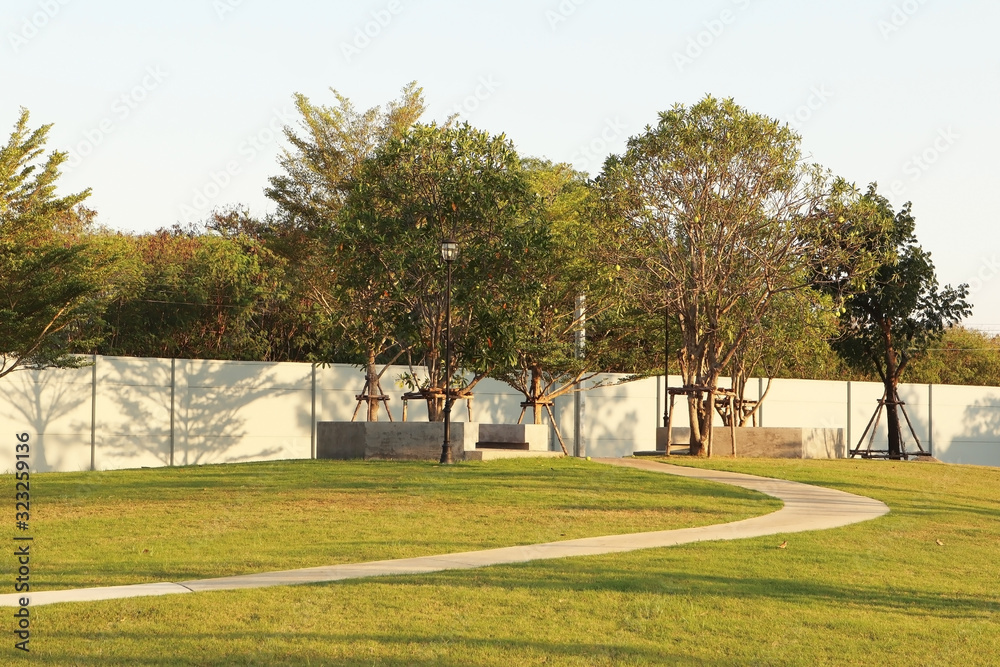 Fototapeta premium Outdoor public park with beautiful slope contour lawn and big trees on warm and lovely day in sunset summer tropical season.