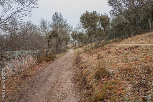 Landscape in the Sierra de Madrid. Spain photo