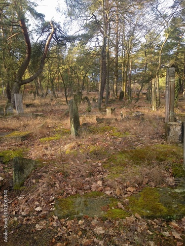 Cmentarz Żydowski Karczew