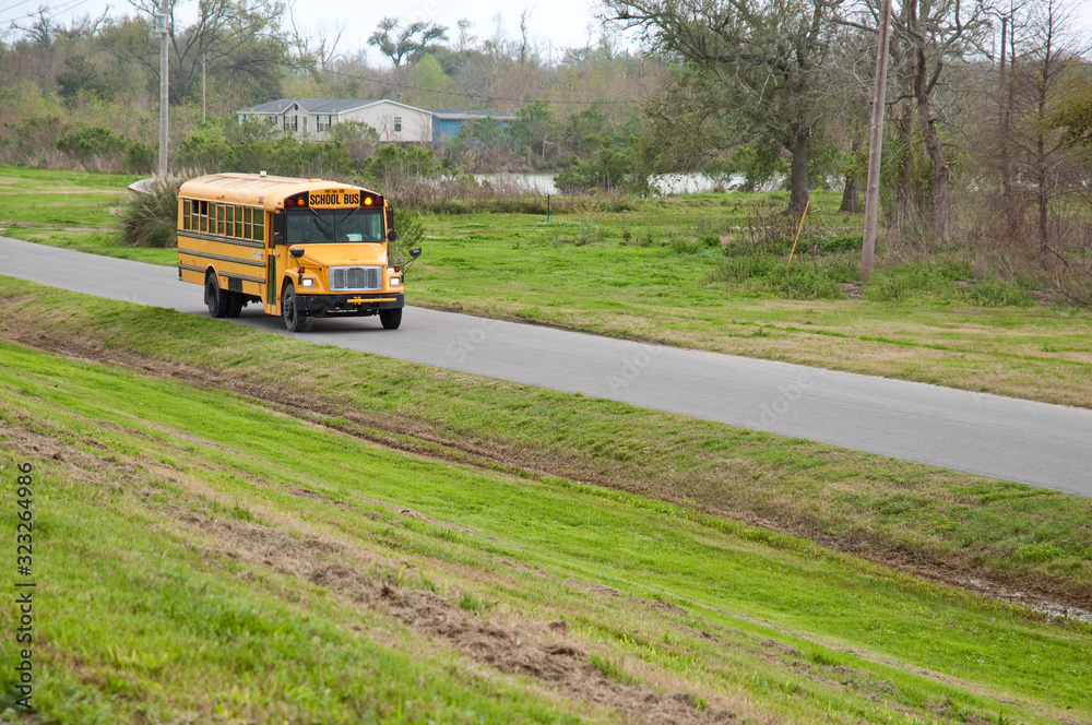 Obraz premium Schoolbus