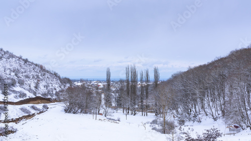 View of the village, winter landscape