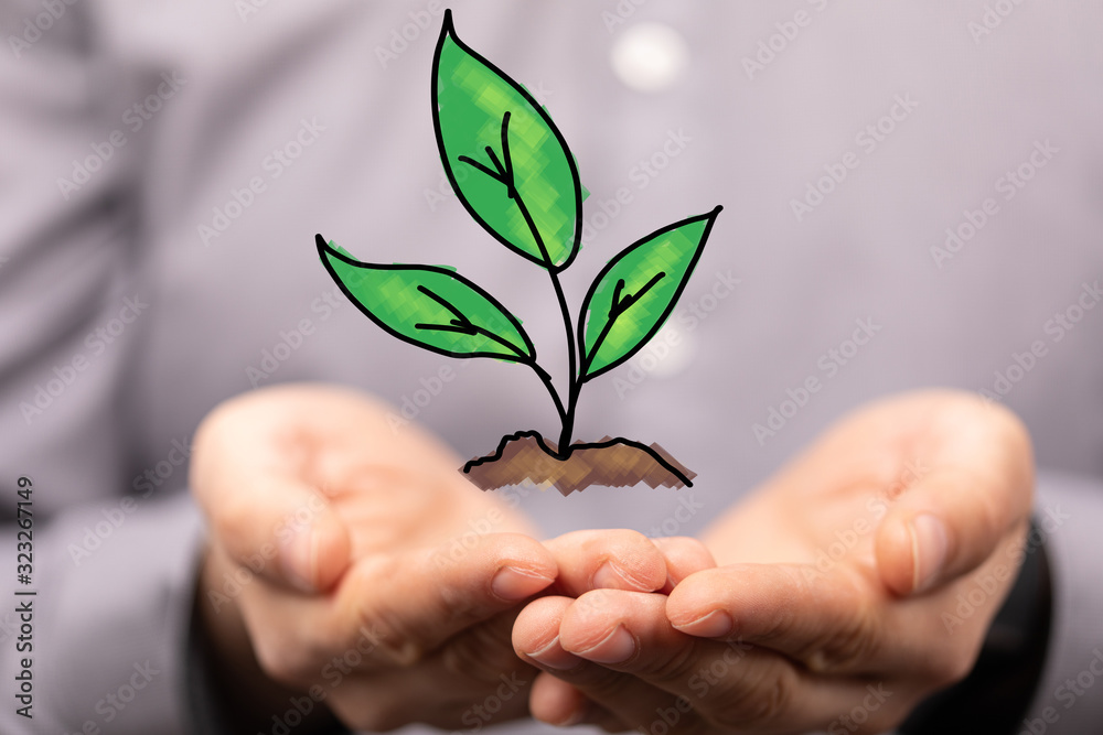 green plant growing up digital green plant growing up digital