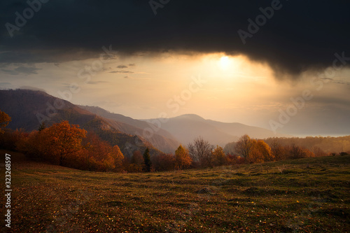 Beautiful autumn sunset in Borjomi, Georgia. Golden fall leaves and forest in the mountains. © sergograph