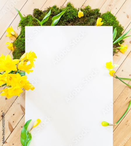 white paper background for text in front of spring decoration with green moss and Easter bells, daffodil flowers on wooden floor. Naturally designing home decoration sustainable.