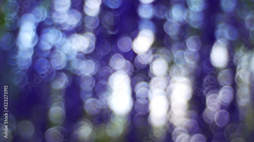 abstract purple flower bokeh background