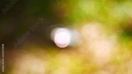 abstract background with lights