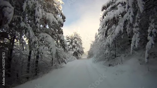 First person pov action shot of moving fast in magnificent cold winter forest on snowy road between pine trees landscape