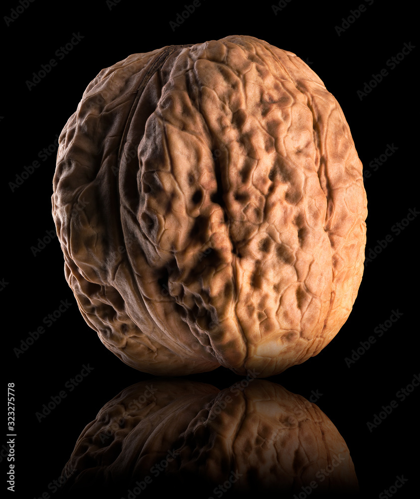 Fototapeta premium Macro photo of whole walnut with reflection isolated on a black background