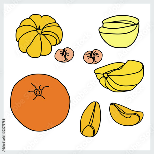Tangerines.Graphics. Pattern on a white background.