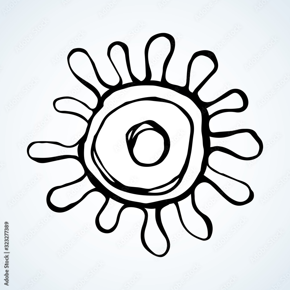 Corono virus bacterium. Vector drawing Corono virus bacterium. Vector drawing