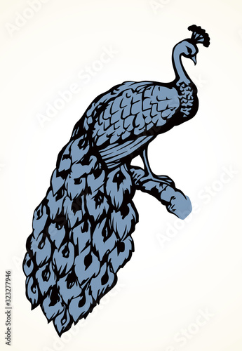 A beautiful peacock sit on the tree. Vector drawing