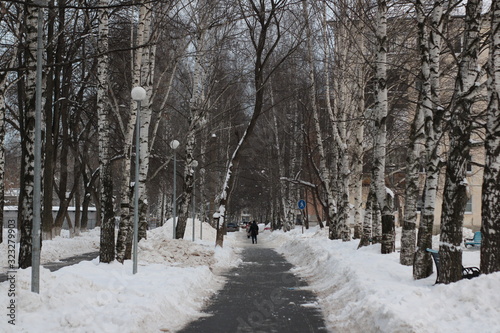 road in winter forest