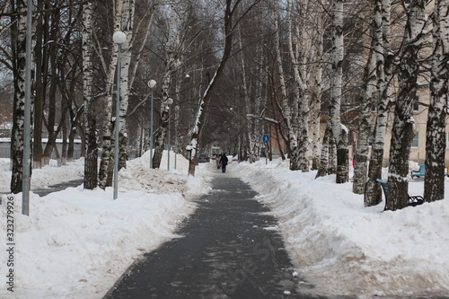 road in winter forest