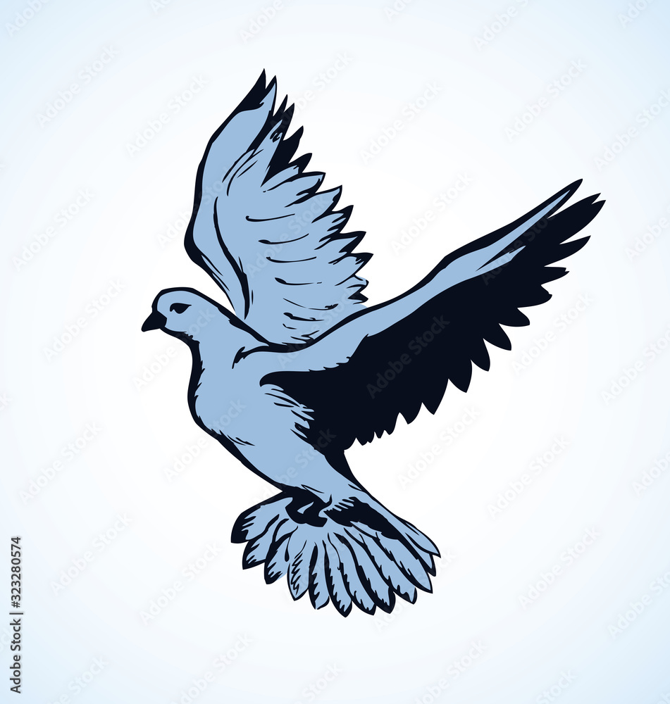 Obraz premium Vector illustration Flying dove