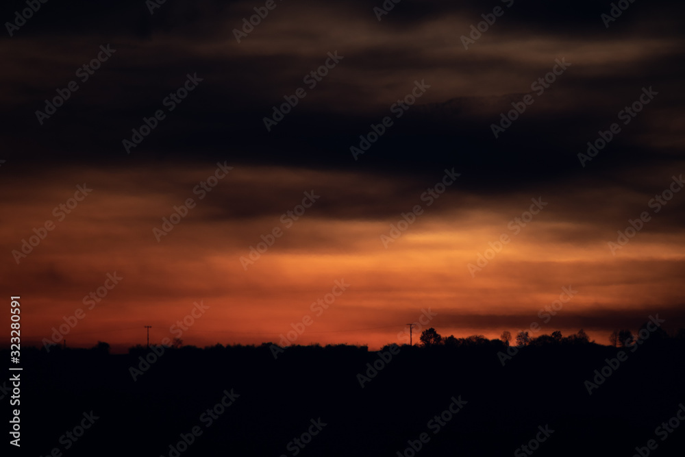 A silhouette of a line of trees and a power line in front of a dramatic red and orange sunrise in the far distance