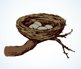 Nest. Vector drawing