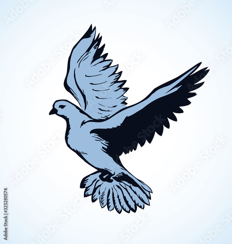 Vector illustration Flying dove