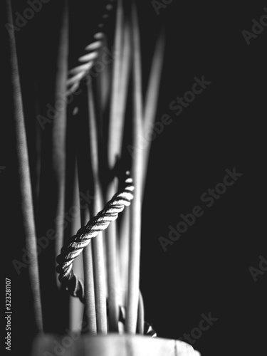An abstract image of a plant wrapped with a cord in front of a black background