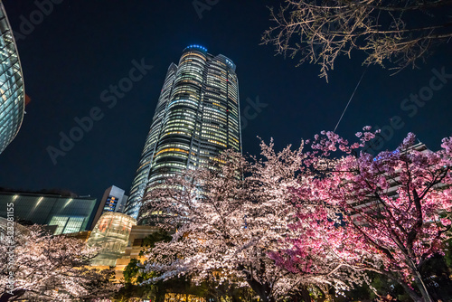 Tokyo Japan - March 27, 2019: Cherry blossoms at night, Roppongi Hills Mori Tower photo