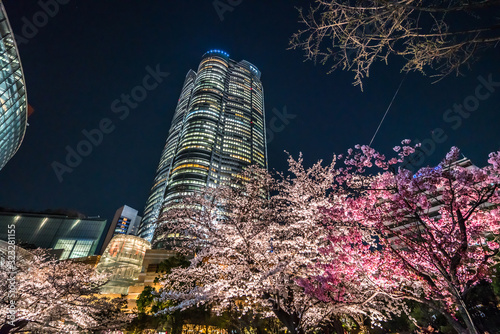 Tokyo Japan - March 27, 2019: Cherry blossoms at night, Roppongi Hills Mori Tower