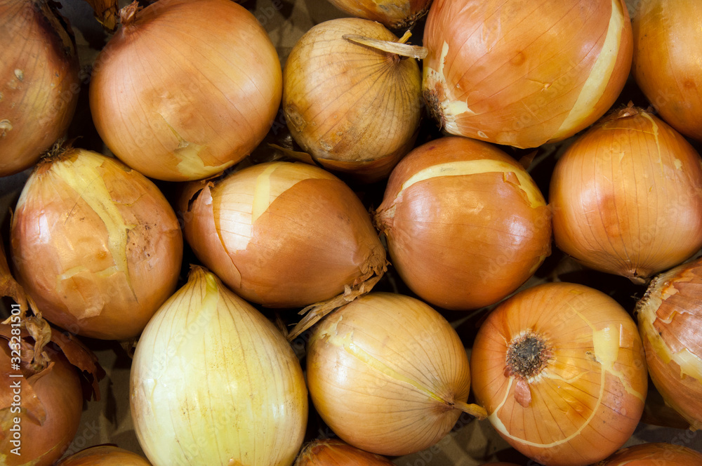 Red onion. Onion background. Onions on the counter Red onion. Onion background. Onions on the counter