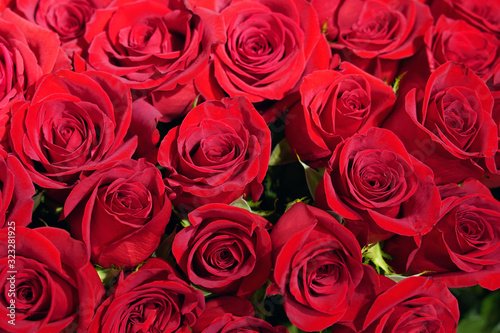 bouquet of natural red roses