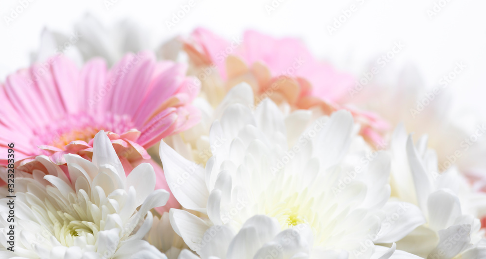 Still life of flowers on white background Still life of flowers on white background