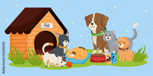 cute dogs with cats and icons vector illustration design