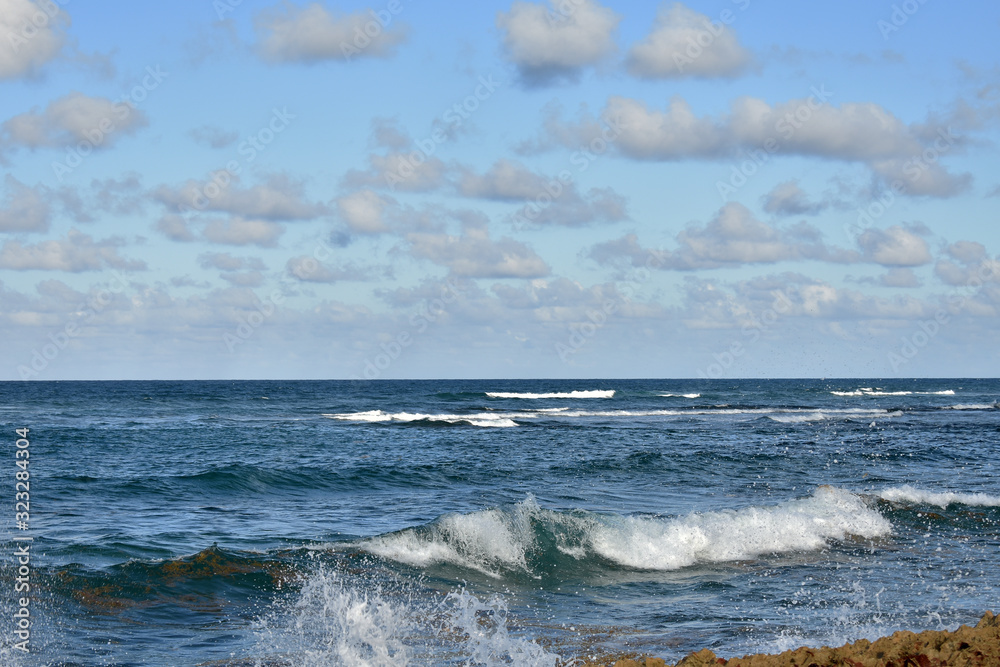 wild beach on the Atlantic coast