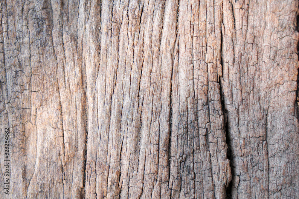 Loft style - Macro light gray wood planks surface texture background Loft style - Macro light gray wood planks surface texture background