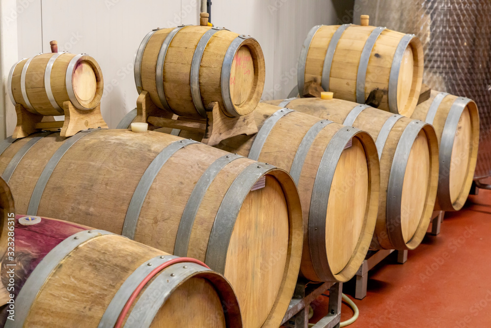 wine cellar with wooden barrels, Southern Moravia, Czech Republic