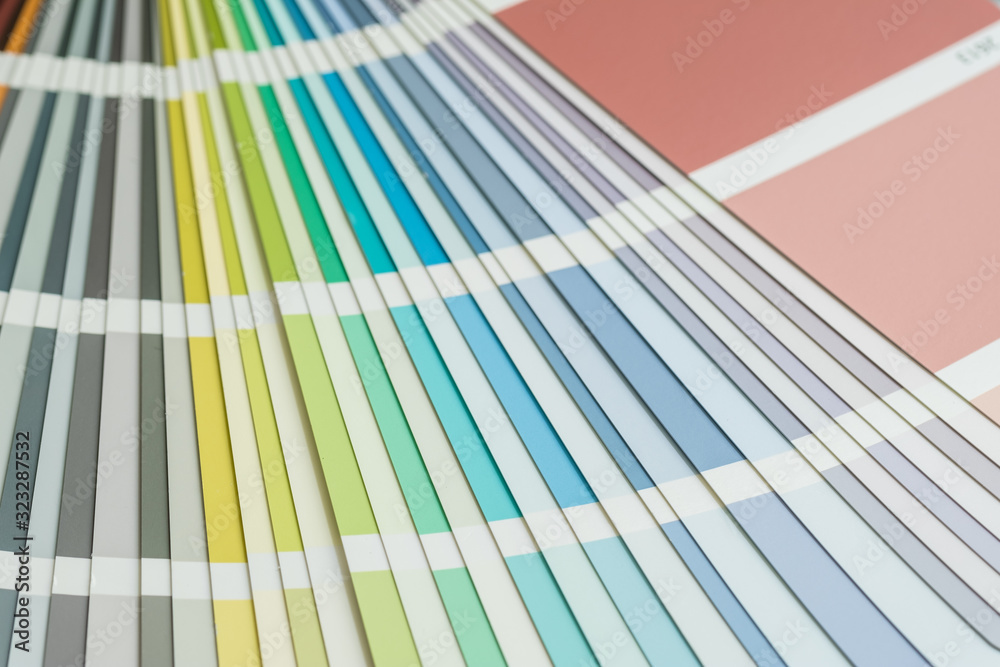 Color palette, guide of paint samples catalog view