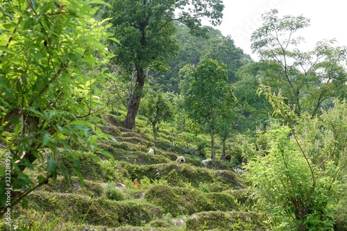 Impressions of the Annapurna Circuit - Trekking into the wild mountains of Nepal