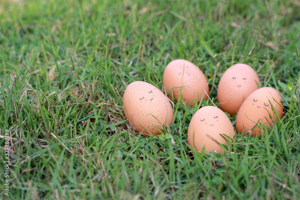 Smiley face on egg on grass background, Happy easter egg concept. Smiley face on egg on grass background, Happy easter egg concept.