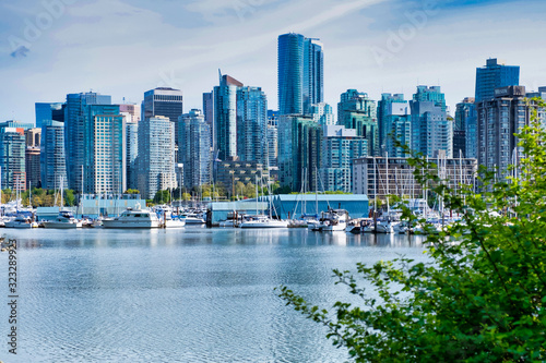 View of Downtown Vancouver, tree in foreground, from Stanley park