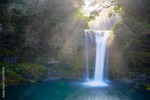 waterfall in forest, jion no taki, ohita, japan